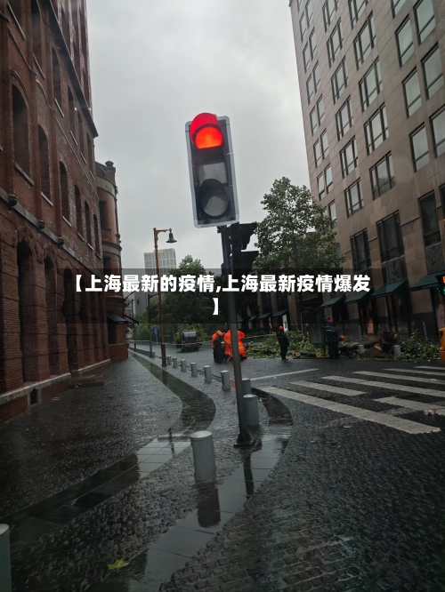 【上海最新的疫情,上海最新疫情爆发】-第2张图片