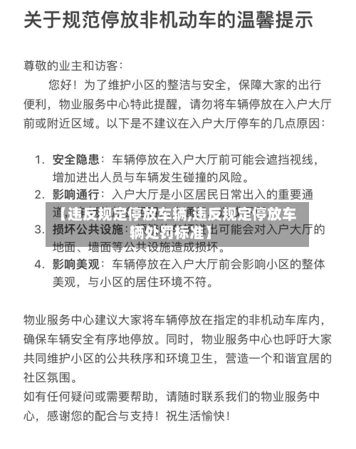 【违反规定停放车辆,违反规定停放车辆处罚标准】-第2张图片
