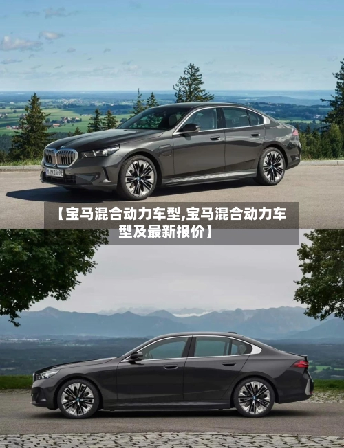 【宝马混合动力车型,宝马混合动力车型及最新报价】