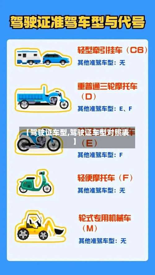 【驾驶证车型,驾驶证车型对照表】-第2张图片