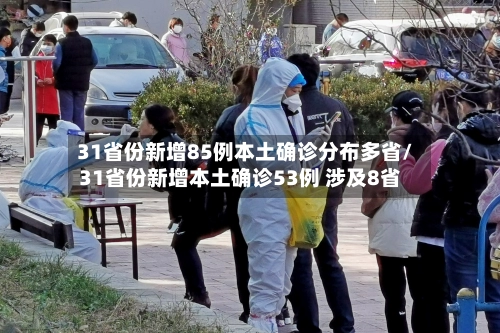 31省份新增85例本土确诊分布多省/31省份新增本土确诊53例 涉及8省