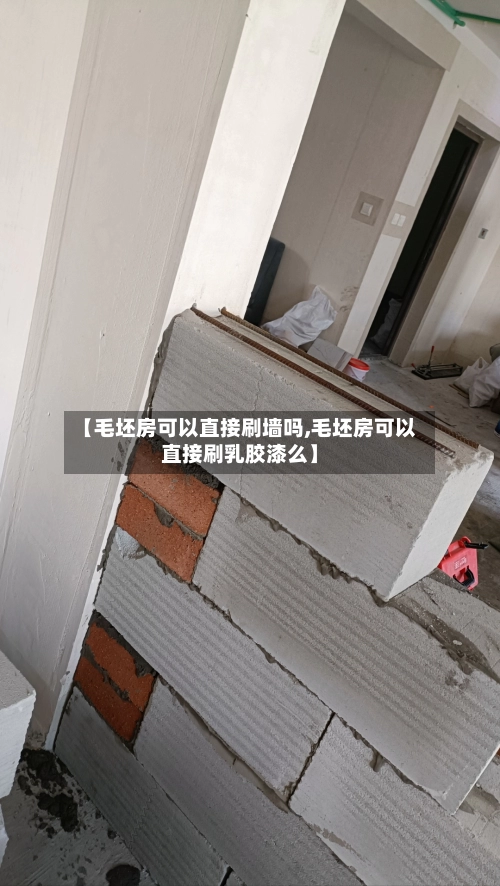 【毛坯房可以直接刷墙吗,毛坯房可以直接刷乳胶漆么】