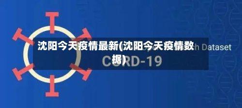 沈阳今天疫情最新(沈阳今天疫情数据)-第2张图片