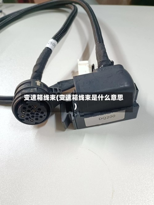 变速箱线束(变速箱线束是什么意思)-第2张图片
