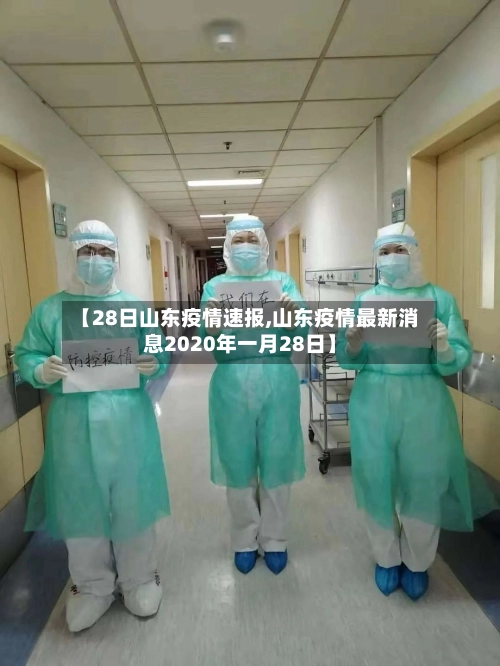 【28日山东疫情速报,山东疫情最新消息2020年一月28日】-第3张图片