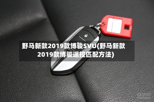 野马新款2019款博骏SVU(野马新款2019款博骏遥控匹配方法)-第2张图片