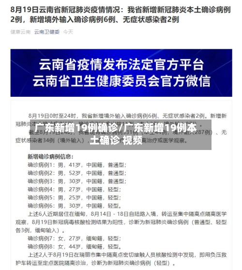 广东新增19例确诊/广东新增19例本土确诊 视频