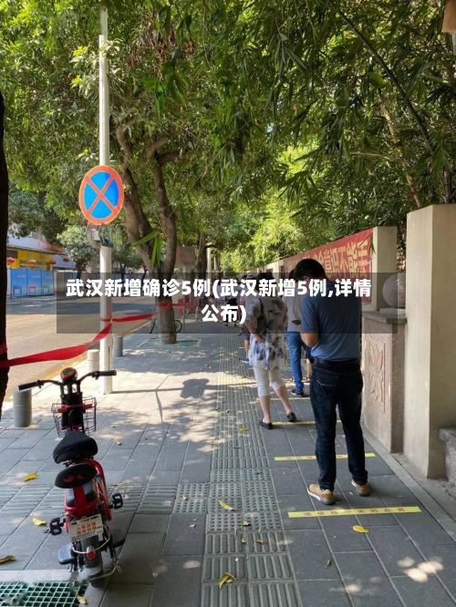 武汉新增确诊5例(武汉新增5例,详情公布)-第2张图片