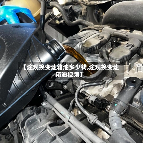 【途观换变速箱油多少钱,途观换变速箱油视频】