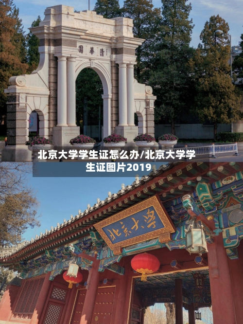 北京大学学生证怎么办/北京大学学生证图片2019