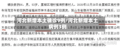 河北新增本土确诊9例/河北新增本土病例3例