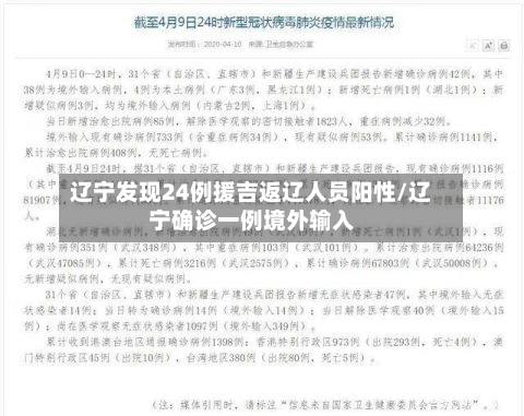 辽宁发现24例援吉返辽人员阳性/辽宁确诊一例境外输入