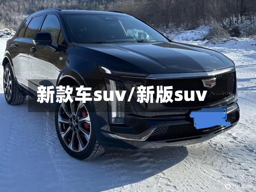 新款车suv/新版suv-第2张图片
