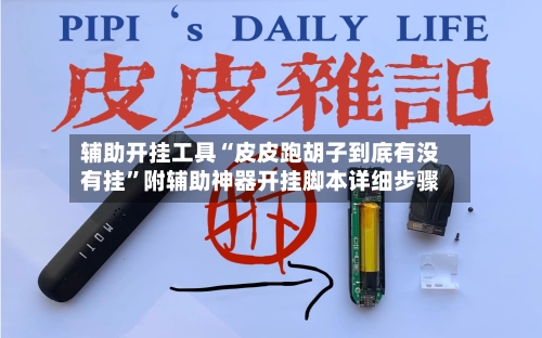 辅助开挂工具“皮皮跑胡子到底有没有挂”附辅助神器开挂脚本详细步骤