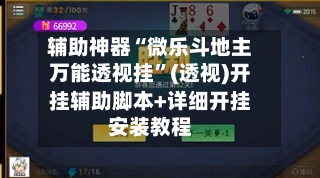 辅助神器“微乐斗地主万能透视挂”(透视)开挂辅助脚本+详细开挂安装教程-第3张图片