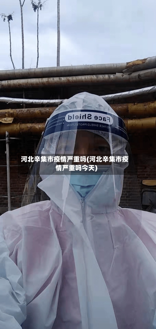 河北辛集市疫情严重吗(河北辛集市疫情严重吗今天)