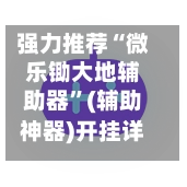 强力推荐“微乐锄大地辅助器”(辅助神器)开挂详细教程-第2张图片