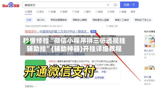 秒懂经验“微信小程序拼三张透视挂辅助挂”(辅助神器)开挂详细教程-第2张图片