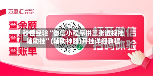 秒懂经验“微信小程序拼三张透视挂辅助挂”(辅助神器)开挂详细教程-第3张图片