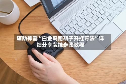 辅助神器“白金岛跑胡子开挂方法”详细分享装挂步骤教程-第3张图片