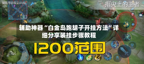 辅助神器“白金岛跑胡子开挂方法	”详细分享装挂步骤教程-第2张图片