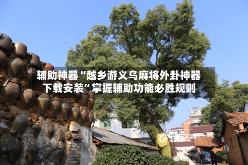 辅助神器“越乡游义乌麻将外卦神器下载安装	”掌握辅助功能必胜规则-第2张图片