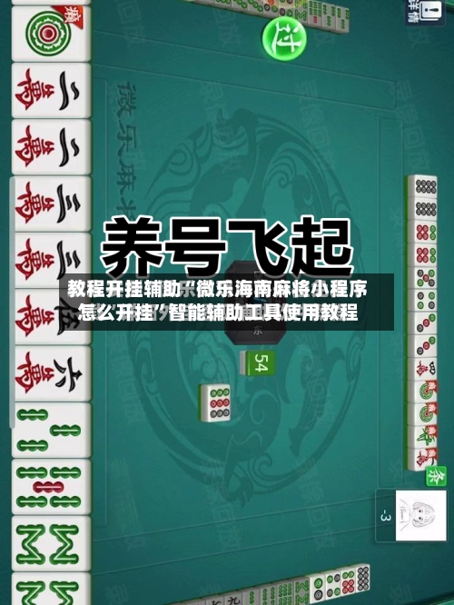 教程开挂辅助“微乐海南麻将小程序怎么开挂”智能辅助工具使用教程-第2张图片