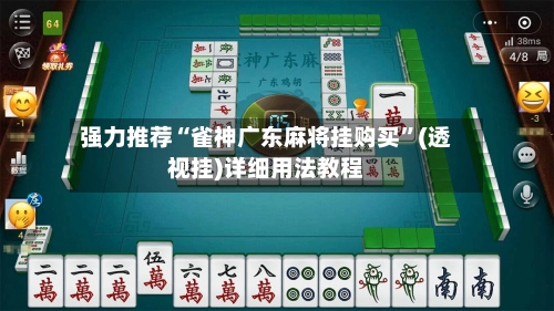 强力推荐“雀神广东麻将挂购买”(透视挂)详细用法教程-第2张图片
