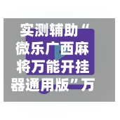 实测辅助“微乐广西麻将万能开挂器通用版”万能辅助详细步骤与使用技巧-第3张图片