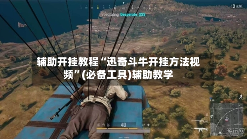 辅助开挂教程“迅奇斗牛开挂方法视频	”(必备工具)辅助教学-第2张图片