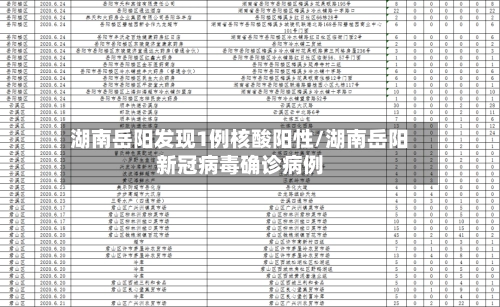 湖南岳阳发现1例核酸阳性/湖南岳阳新冠病毒确诊病例-第2张图片