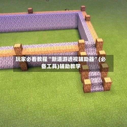 玩家必看教程“新道游透视辅助器”(必备工具)辅助教学-第3张图片