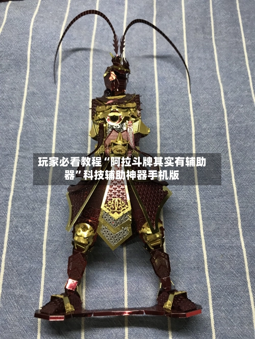玩家必看教程“阿拉斗牌其实有辅助器”科技辅助神器手机版-第3张图片