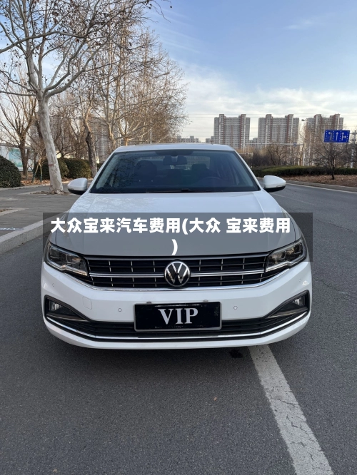 大众宝来汽车费用(大众 宝来费用)-第2张图片