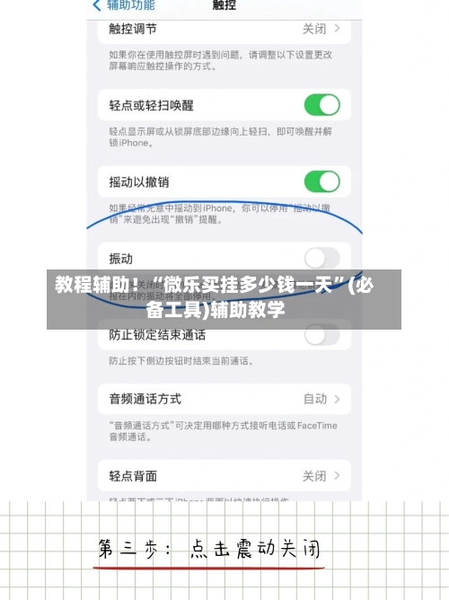 教程辅助！“微乐买挂多少钱一天”(必备工具)辅助教学-第3张图片