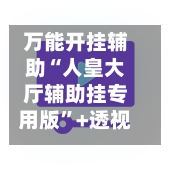 万能开挂辅助“人皇大厅辅助挂专用版”+透视挂”开挂辅助软件教程-第2张图片
