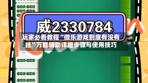 玩家必看教程“微乐游戏到底有没有挂”万能辅助详细步骤与使用技巧-第2张图片
