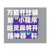 万能开挂辅助“小程序哈灵麻将开挂神器”科技辅助神器手机版教程-第2张图片