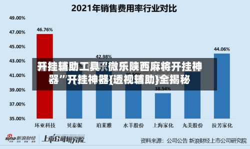 开挂辅助工具“微乐陕西麻将开挂神器”开挂神器{透视辅助}全揭秘-第2张图片