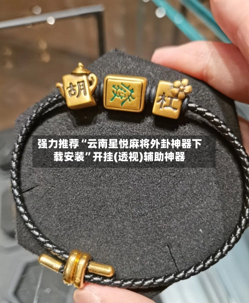 强力推荐“云南星悦麻将外卦神器下载安装”开挂(透视)辅助神器-第2张图片