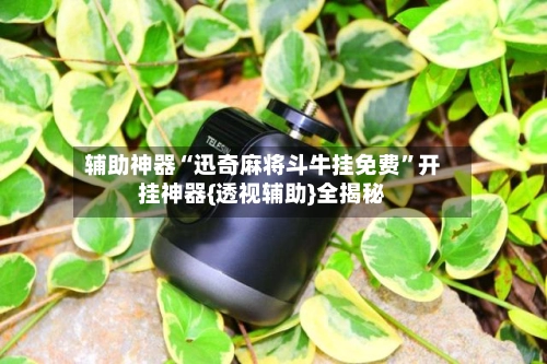 辅助神器“迅奇麻将斗牛挂免费”开挂神器{透视辅助}全揭秘-第3张图片