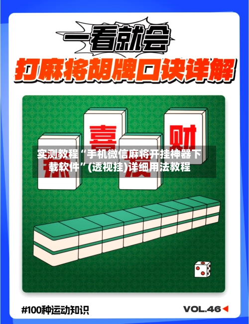 实测教程“手机微信麻将开挂神器下载软件”(透视挂)详细用法教程-第3张图片