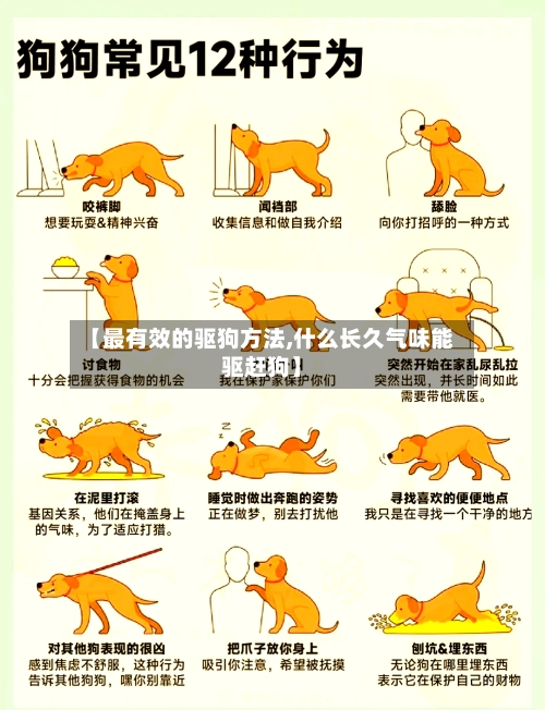 【最有效的驱狗方法,什么长久气味能驱赶狗】