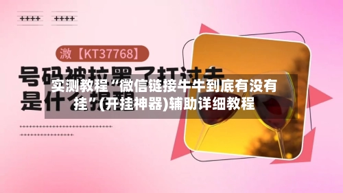 实测教程“微信链接牛牛到底有没有挂”(开挂神器)辅助详细教程-第2张图片