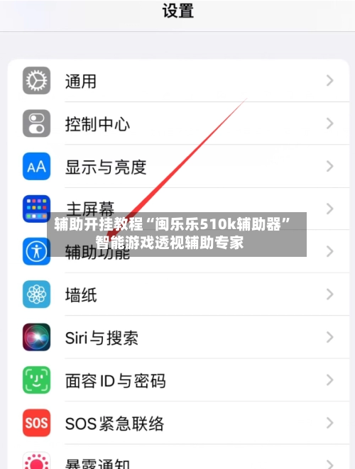 辅助开挂教程“闽乐乐510k辅助器”智能游戏透视辅助专家-第3张图片