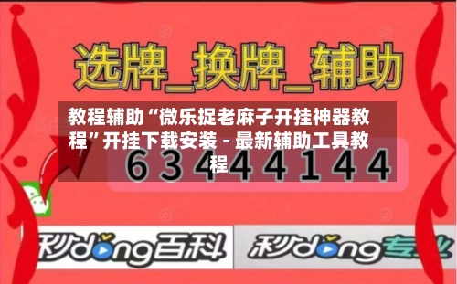 教程辅助“微乐捉老麻子开挂神器教程”开挂下载安装 - 最新辅助工具教程-第3张图片