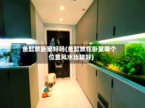 鱼缸放卧室好吗(鱼缸放在卧室哪个位置风水比较好)-第2张图片