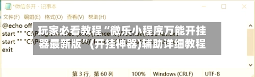 玩家必看教程“微乐小程序万能开挂器最新版”(开挂神器)辅助详细教程-第2张图片