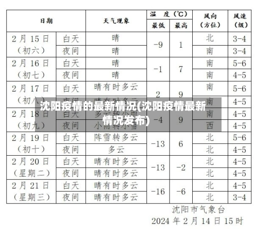 沈阳疫情的最新情况(沈阳疫情最新情况发布)