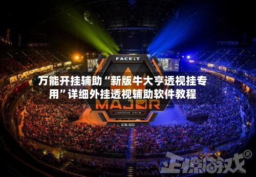 万能开挂辅助“新版牛大亨透视挂专用”详细外挂透视辅助软件教程-第2张图片